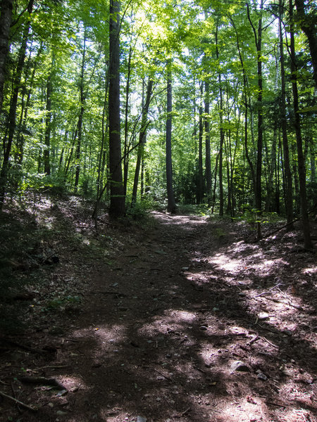 Ashcroft Trail, the start of the Beaver Brook Loop.