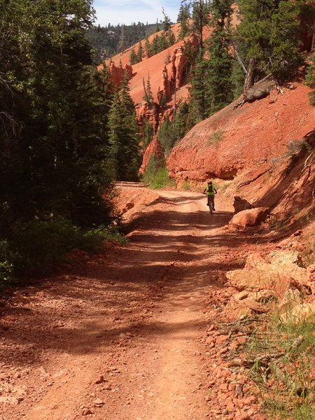 Blasting down the two track near the end.