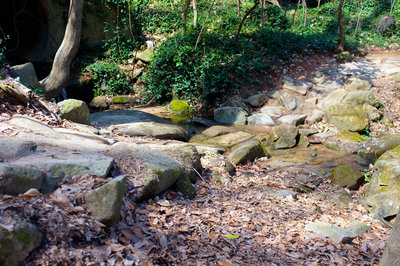 Buttermilk between Reedy Creek and the Boulevard Bridge