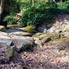 Buttermilk between Reedy Creek and the Boulevard Bridge