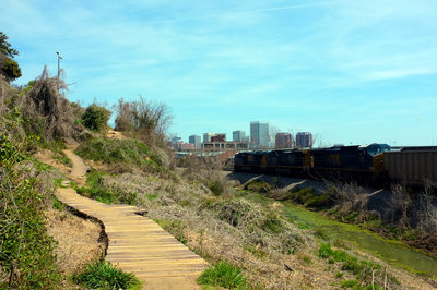North side trail ladder bridges