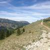 Looking west at the Wasatch Crest trail from the top of Puke Hill