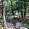 The WAPACK trail between Mt Watatic and Nutting Hill provides lots of technical rocks.