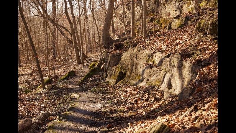 No trail is fun without a few rocks to dodge.