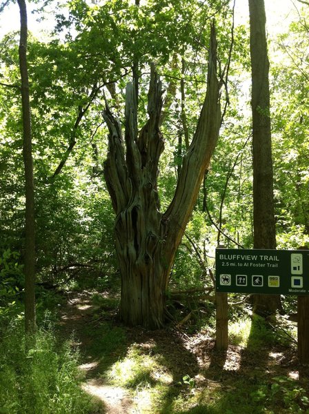 Bluff View upper trailhead.