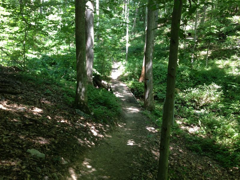 Bridge on Holly trail