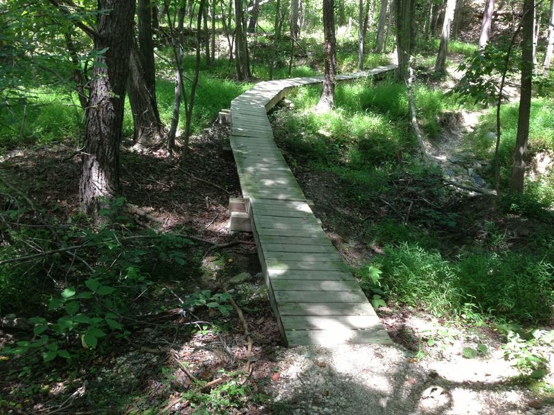 Narrow bridge on Crow's Foot trail