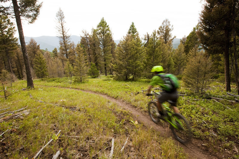 Long sweeping turns on Beartrap Gulch