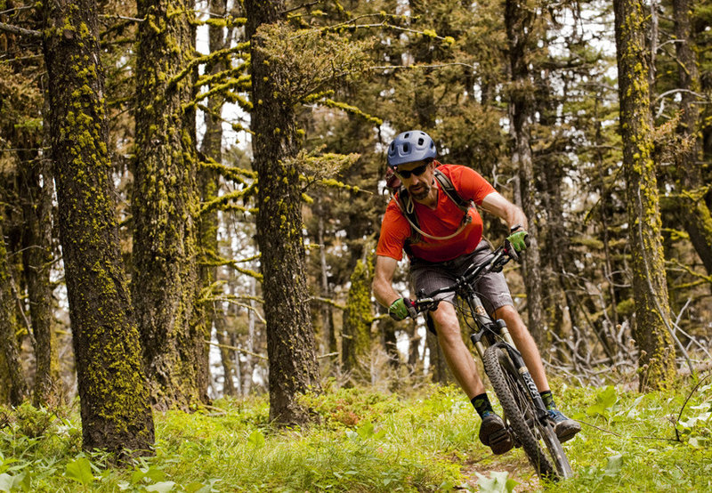 Slalom through the trees on the upper end of Beartrap Gulch