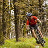 Slalom through the trees on the upper end of Beartrap Gulch