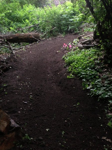 Looking up at the third switchback