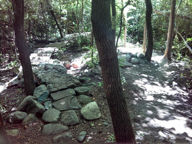 Rocks, bridges and logs!  Oh, my!