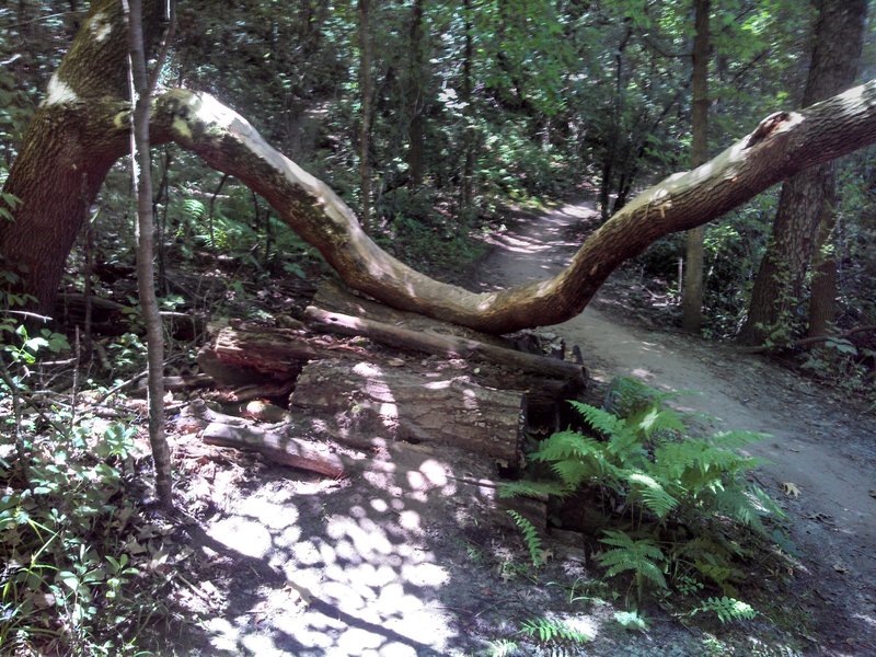 Very unique Log Pyramid.  If you ride around, don't forget to duck!