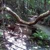 Very unique Log Pyramid.  If you ride around, don't forget to duck!