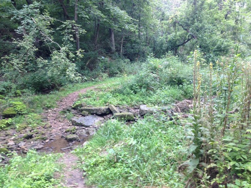 Creek Crossing on Hoot Hollow. Water level varies with high rainfall and shifting rocks.