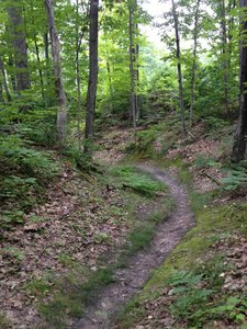 Drop-in for Bobsled Loop ravine.