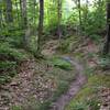 Drop-in for Bobsled Loop ravine.