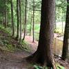 Edwards Trail passing Peepsock Creek