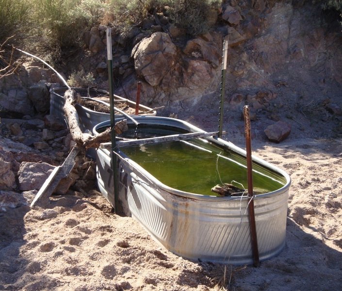 Bathtub Spring in the Ripsey Wash