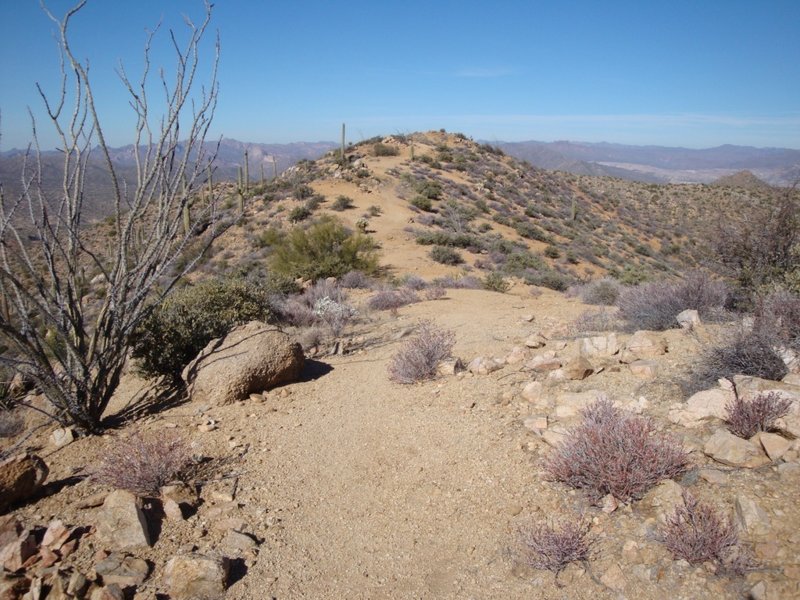 More ridgetop running. Notice trail vagueness, you might not see any other tracks.