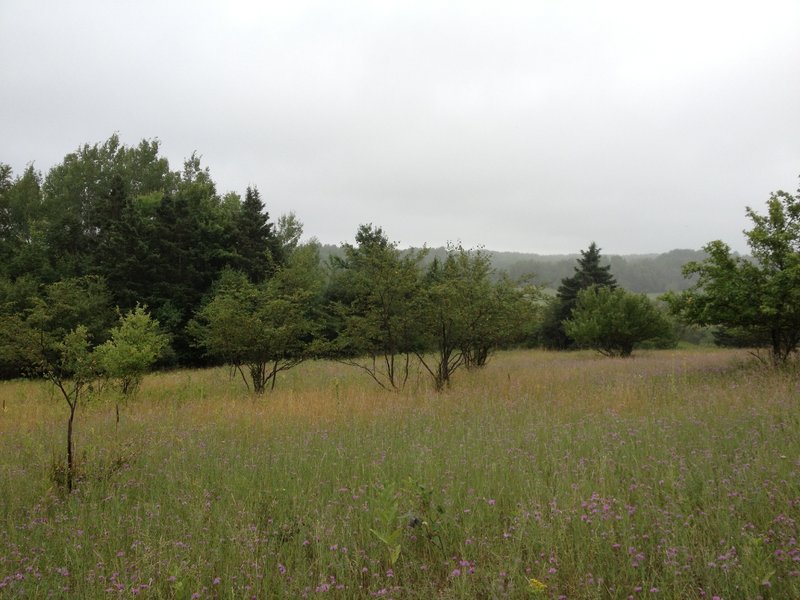 View of the Pilgrim River valley from the the start of Gonzo Loop.