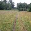 Meadow segment of Gonzo Loop on the way down to the Pilgrim River.