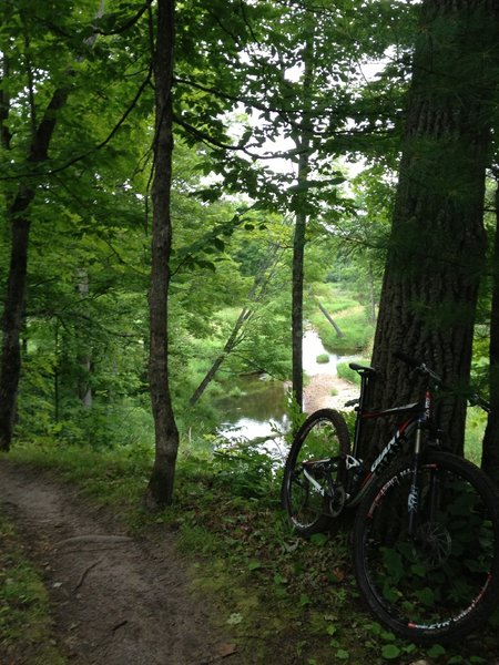 Bluff overlooking the Pilgrim River on Gonzo Loop.