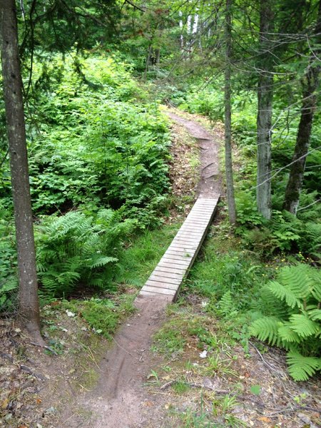 Another narrow crossing on Hillside Trail.