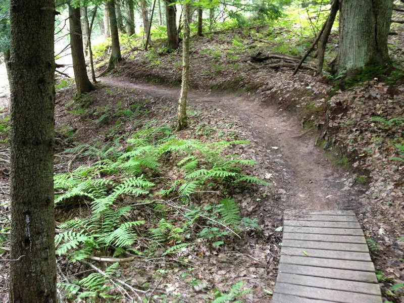 Curving bench and bridge on Hillside Trail.