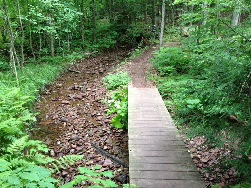 Deadman's Creek crossing bridge at the bottom of Outer Limits Loop.