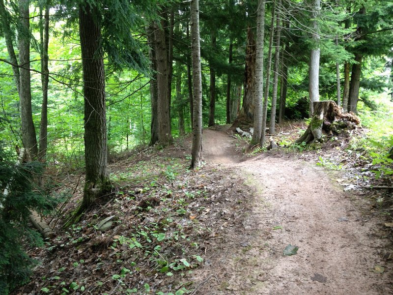 Final rollers on Outer Limits Loop descent.