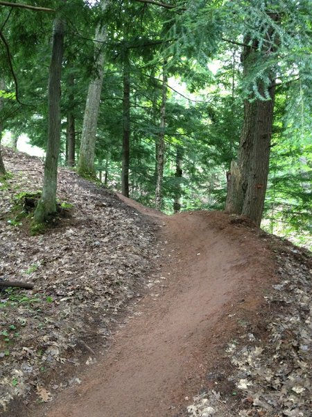 Roller and berm with exposure on Outer Limits Loop.