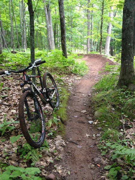 Berm on Outer Limits Loop.