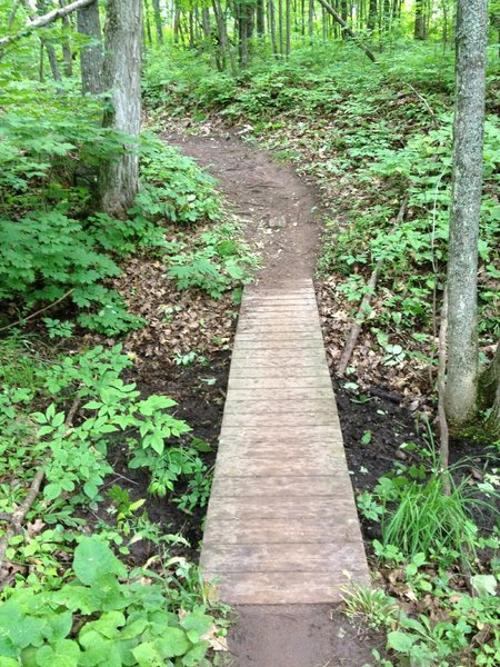 Small crossing on Outer Limits Loop.