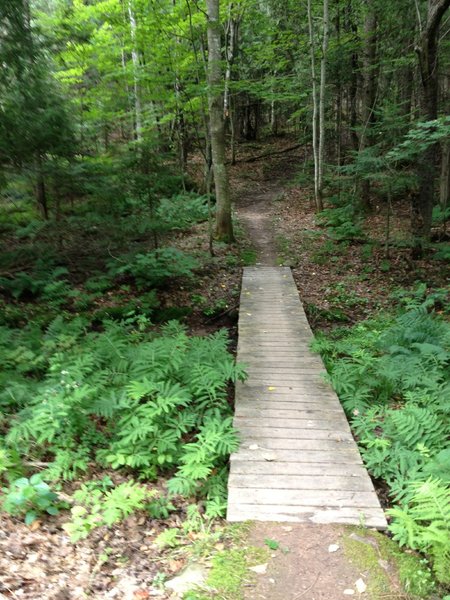 Cedar bridge on Cedar Bridge Trail.