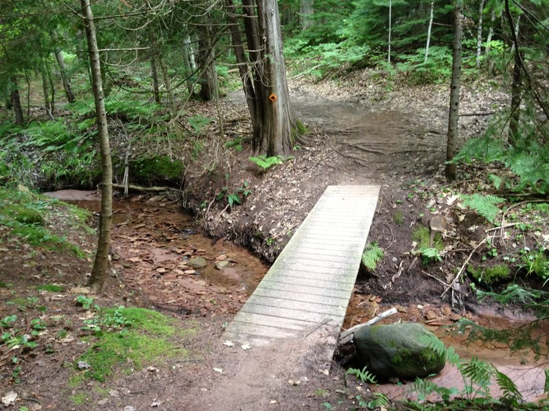 Crossing of Peepsock Creek on Outer Limits Loop.