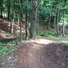 Hemlock shaded berm on Walkabout Trail.