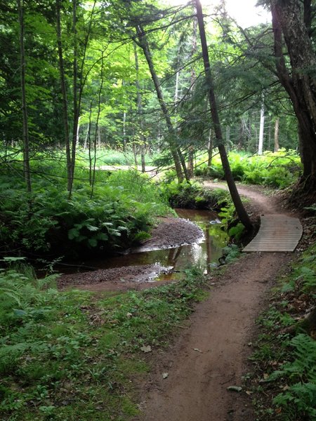 Boardwalk along Peepsock Creek on Walkabout Trail.