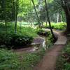 Boardwalk along Peepsock Creek on Walkabout Trail.