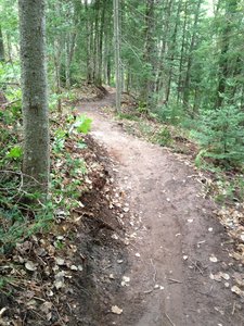 Newly built reroute on Sleeping Bear Loop. Thanks Jesse, Lori, and IMBA!