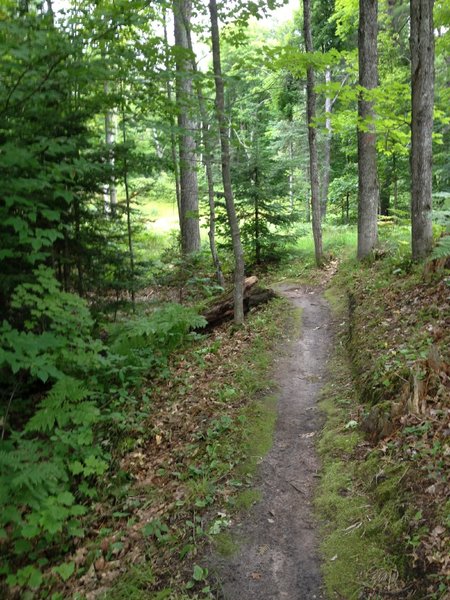 Turn on Sleeping Bear Loop.