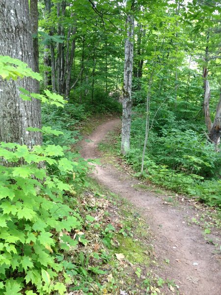 Nice flowing section on Hillside Trail.