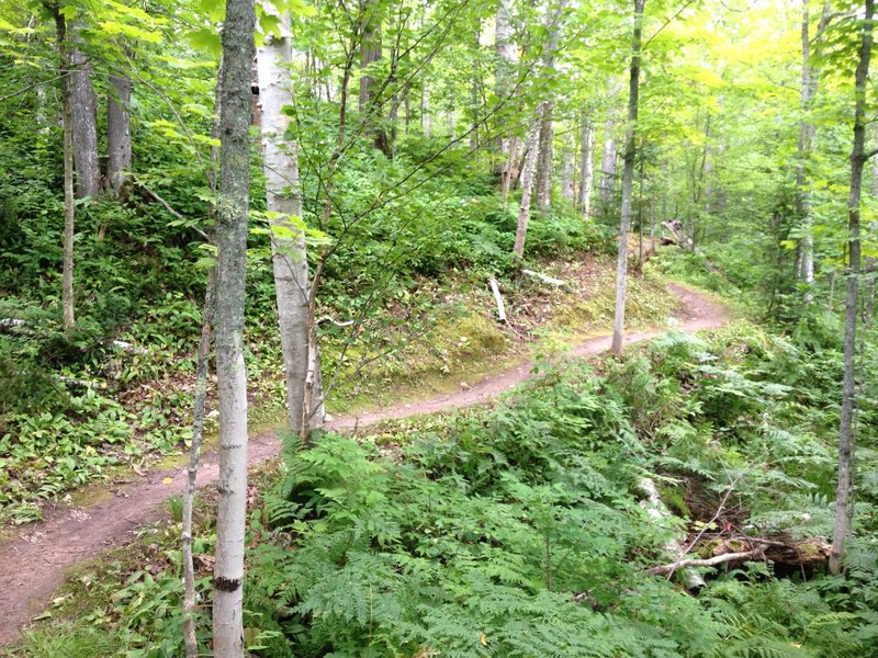 Rolling bench segment on Hillside Trail.