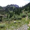 Looking back at the trail and San Joaquin Mountain. Bear Creek!