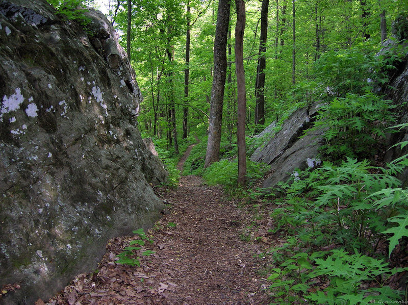 Limestone formations along Mountain Mist trail.