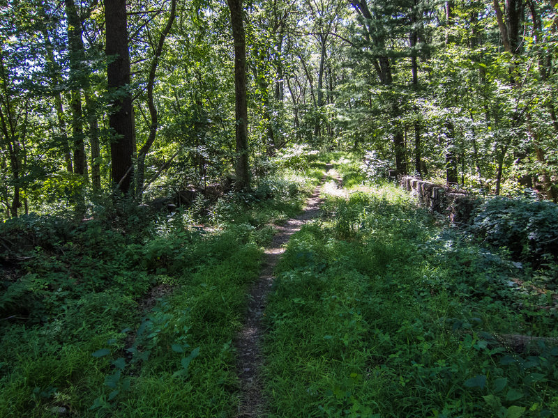 Coal Road at Lone Tree Hill