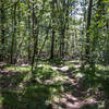 Lower part of Meadow Edge Trail at Lone Tree Hill