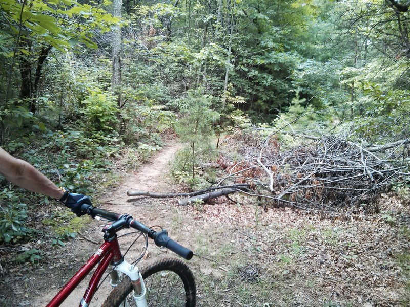 Trailhead is the 2nd yellow blazed trail to the left after you ride up a little steep red clay rise.