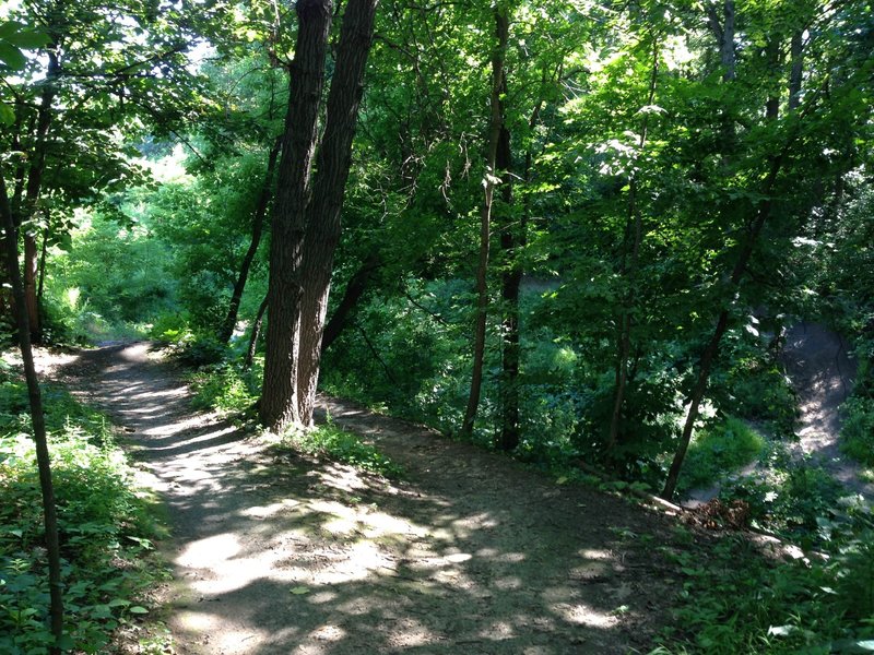 Beginning of The Luge