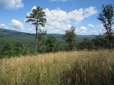 View from the 'Dog Graveyard' climb